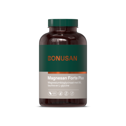 Magnesan Forte Plus - 120 tabs.