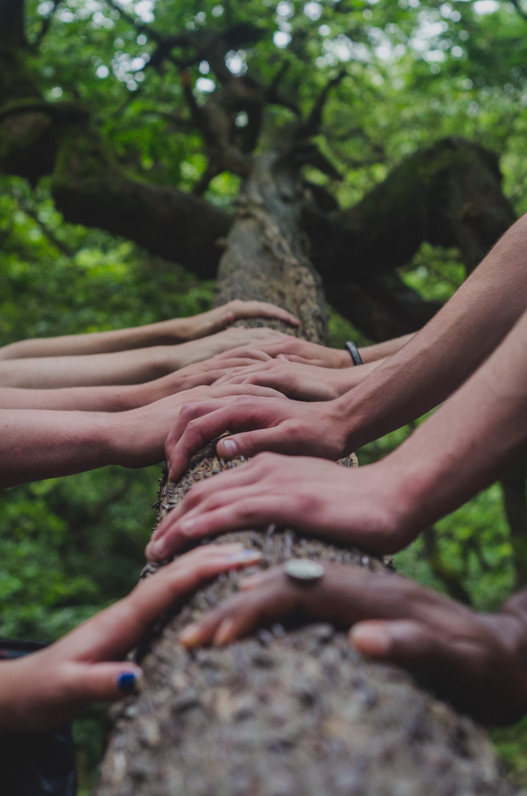 Meer vrijheid dankzij technologie: zo verbind je weer met mens en natuur
